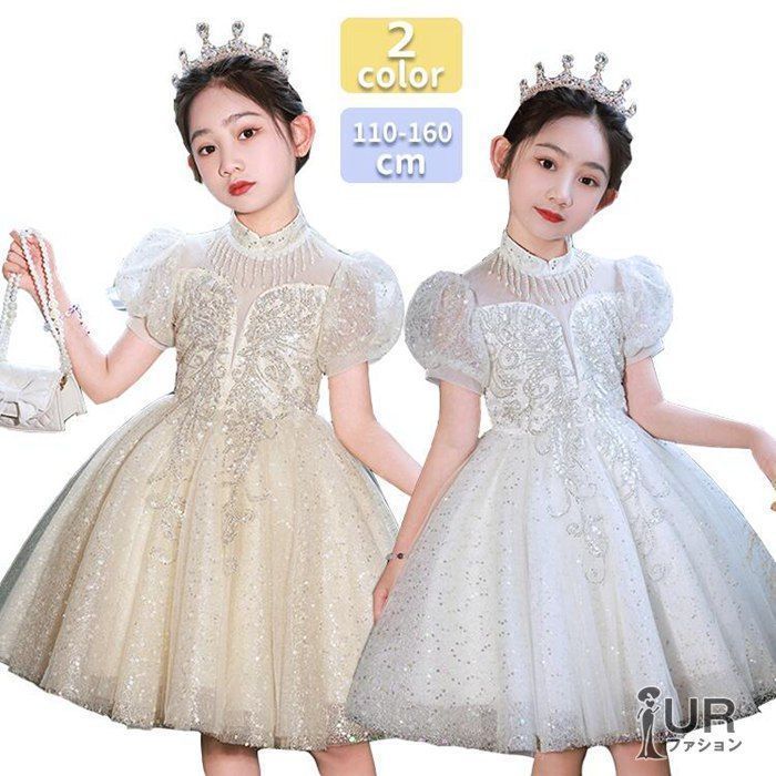 低次元導体〔改訂改題〕: 有機導体の多彩な物理と密度波 (物性科学選書)