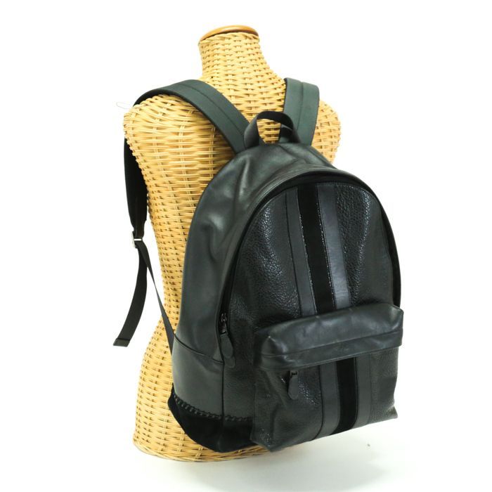 コーチ COACH バックパック レザー スエード ストライプ F11250 
