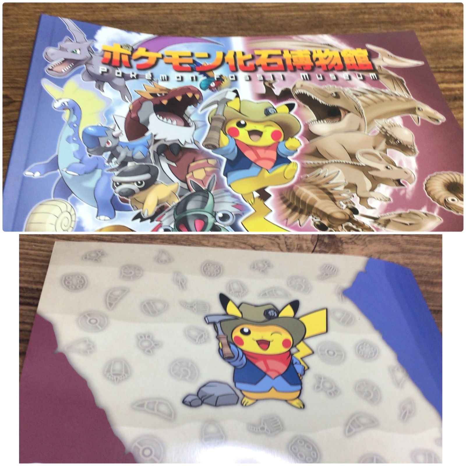 2027 ポケモン化石博物館限定 ぬいぐるみ 発掘ピカチュウ 図録 タグ