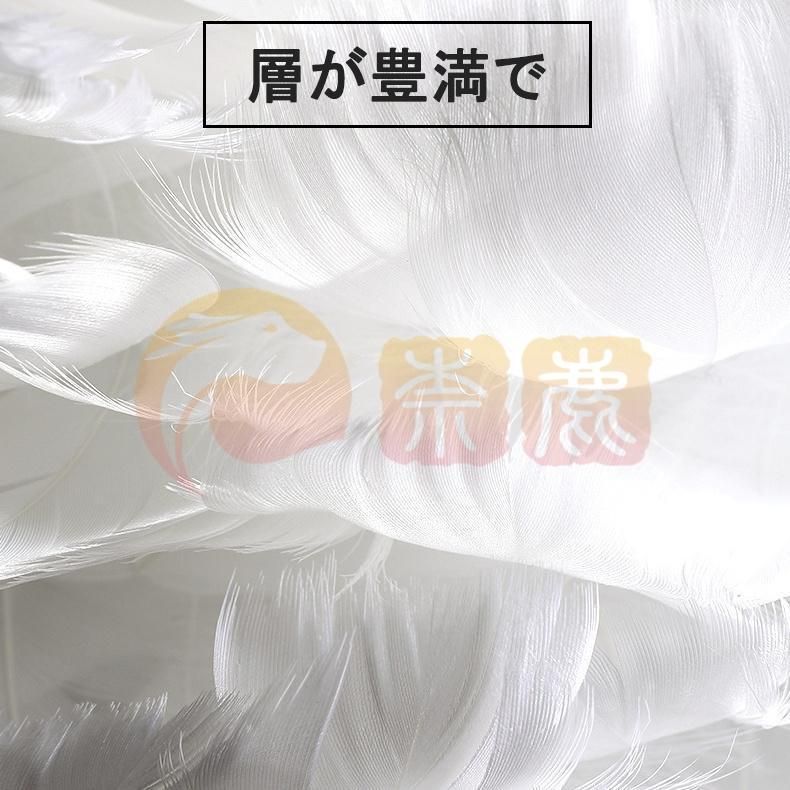 羽毛