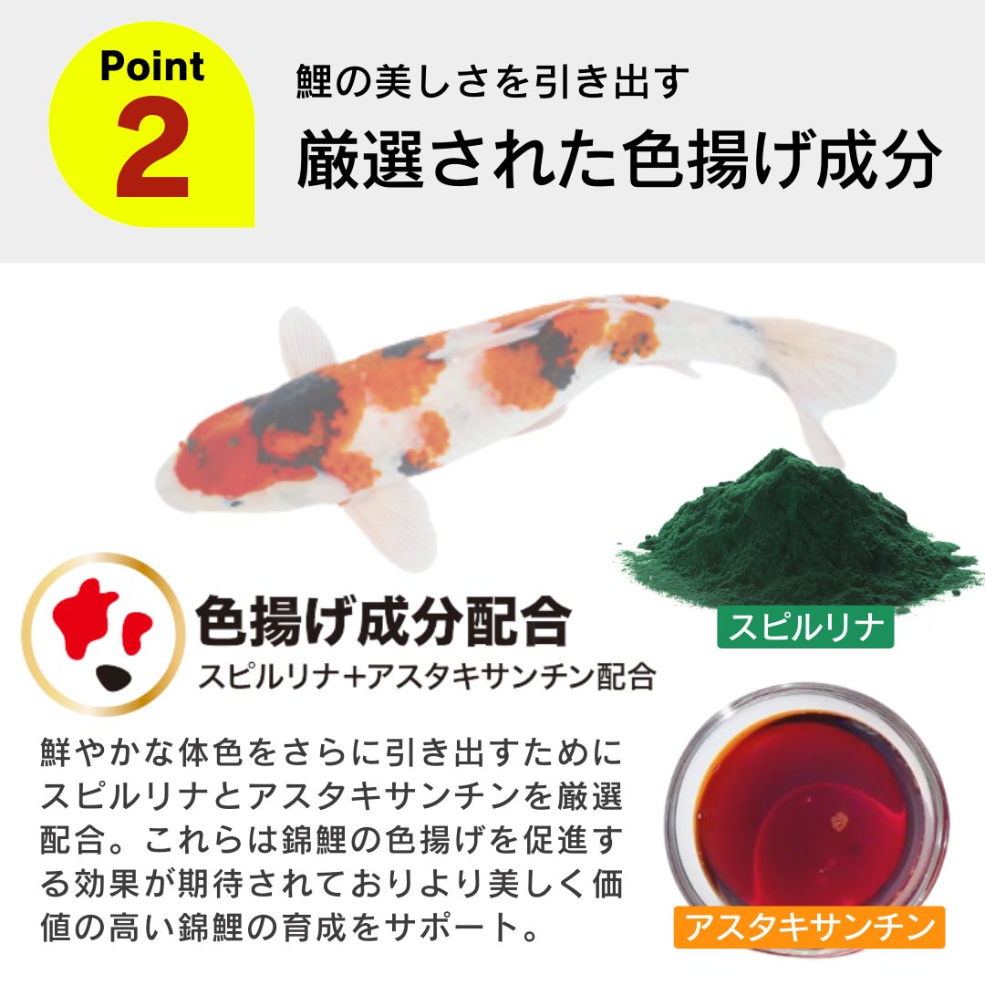鯉の餌 金魚の餌