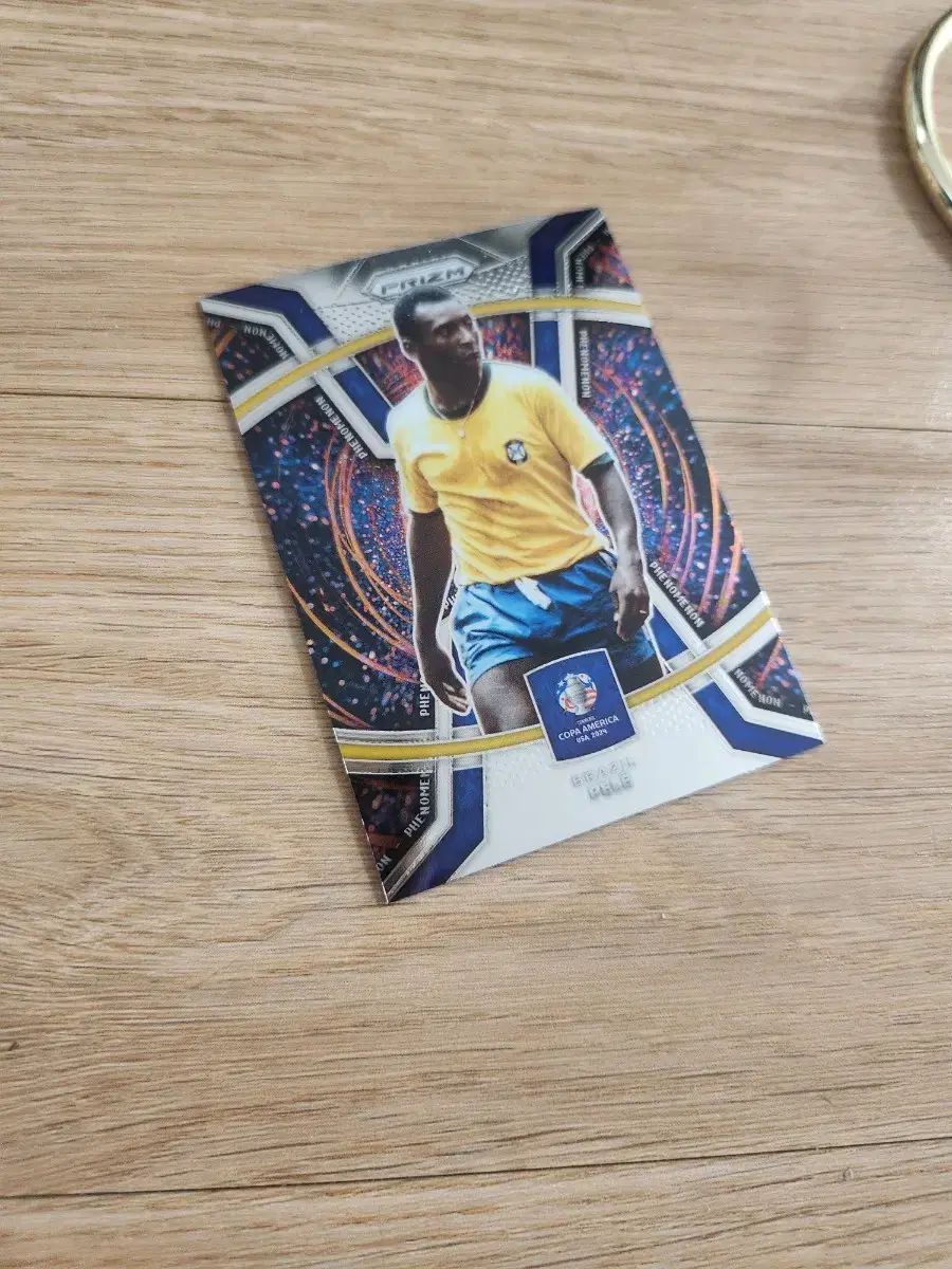 24 Panini パニーニ コパプリズム ペレ レジェンド サッカーカード