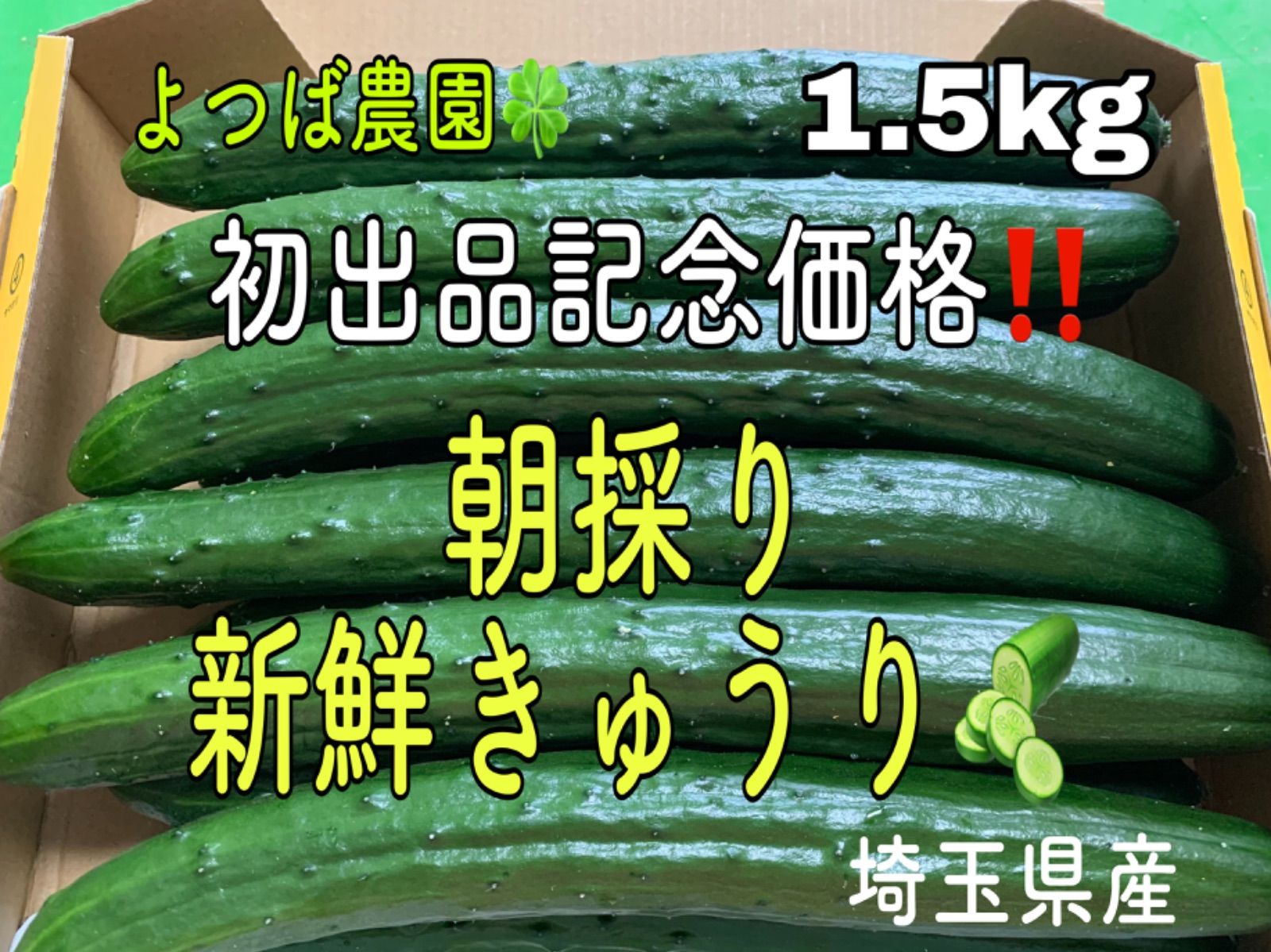 配送料無料 - 農家直送新鮮野菜訳あり太めきゅうり - 非対面販売:507円