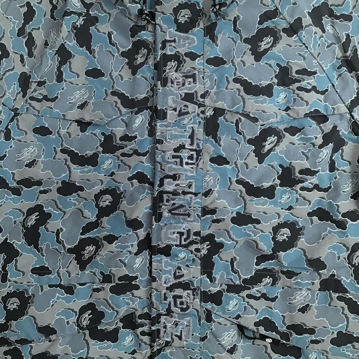 APE BAPE KAWS ツリーカモ　迷彩　スノボジャケット　パーカー　L APE BAPE KAWS ツリーカモ迷彩スノボジャケットパーカーL