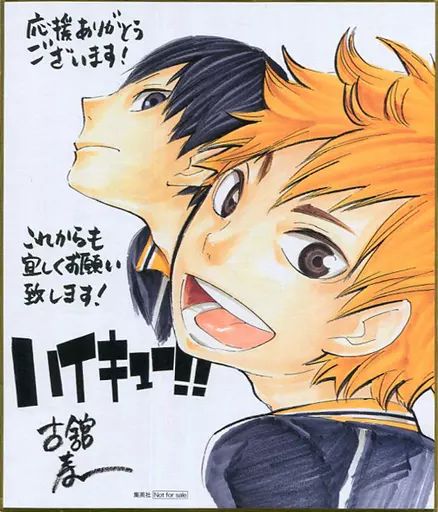 紙製品 キャラクター 日向翔陽＆影山飛雄 複製サイン色紙 ハイキュー!! 書店展示品