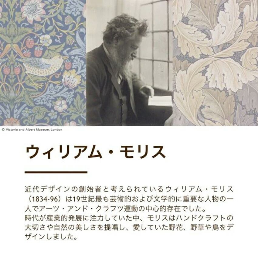 C 掛け布団カバー シングル ロマンス小杉 SL 綿 150×210cm いちご泥棒 日本製 掛けカバー ピンク ブルー 2色から選択 10ヶ所ボタ WWW_NOITHATQUANGTHANH_NET