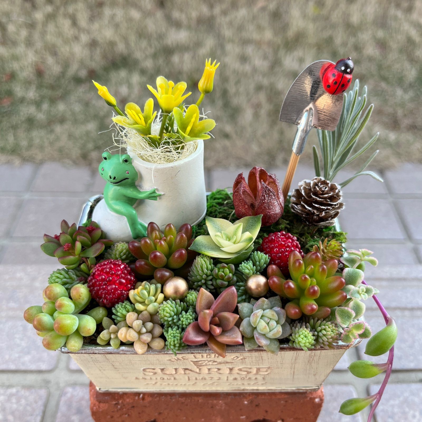 このまま飾れる 多肉植物 寄せ植え 犬