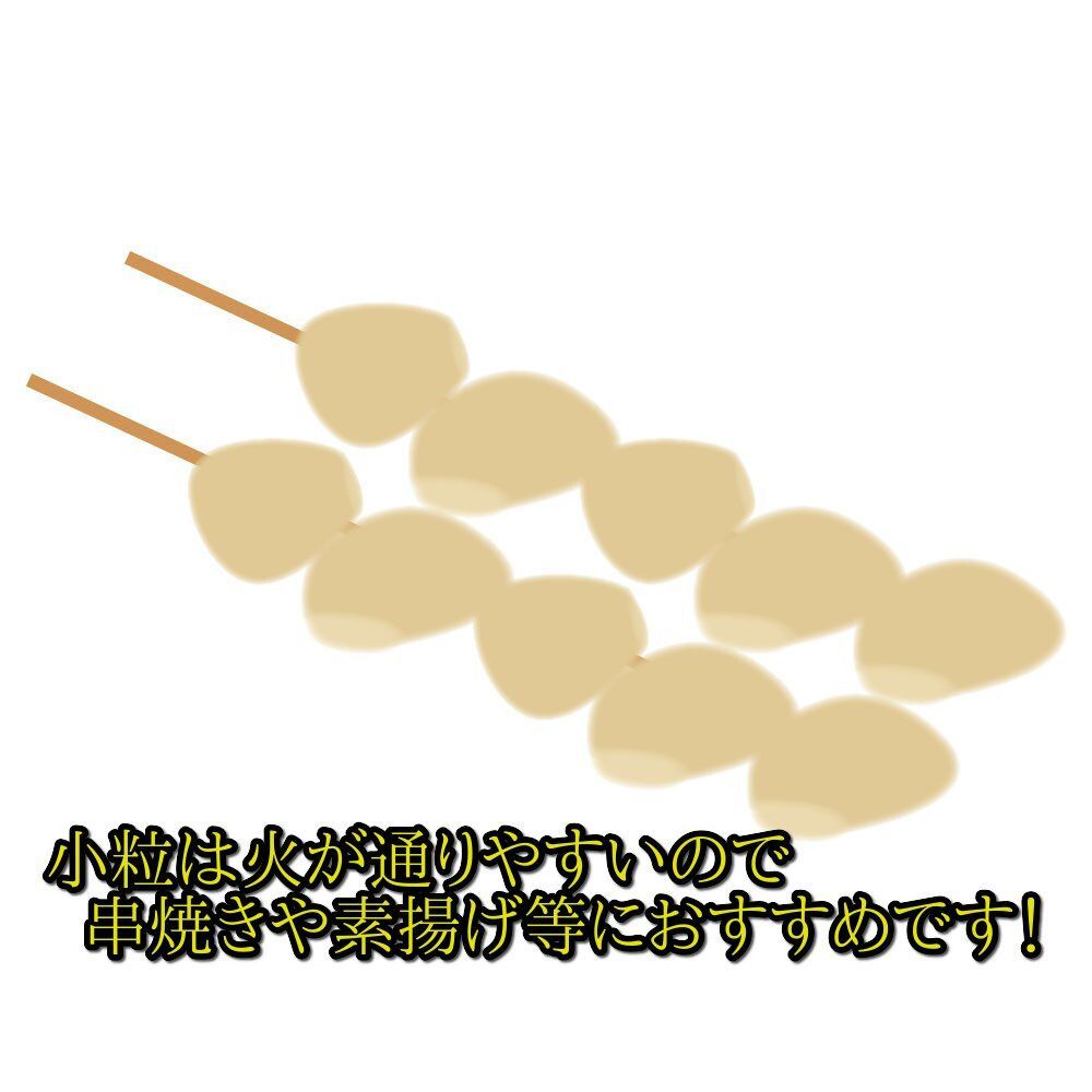 【わけあり品・小粒のみ】青森県産ホワイト六片種にんにく バラ 500g 令和6年度産【高糖度】