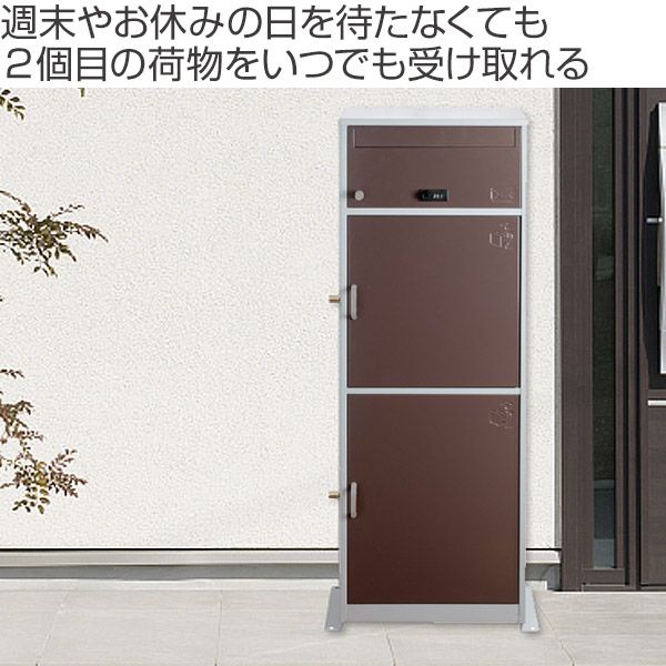 ブラウン リシム
