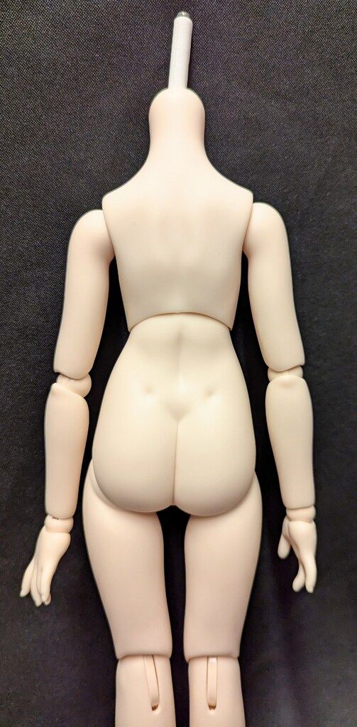 MDDベースボディ