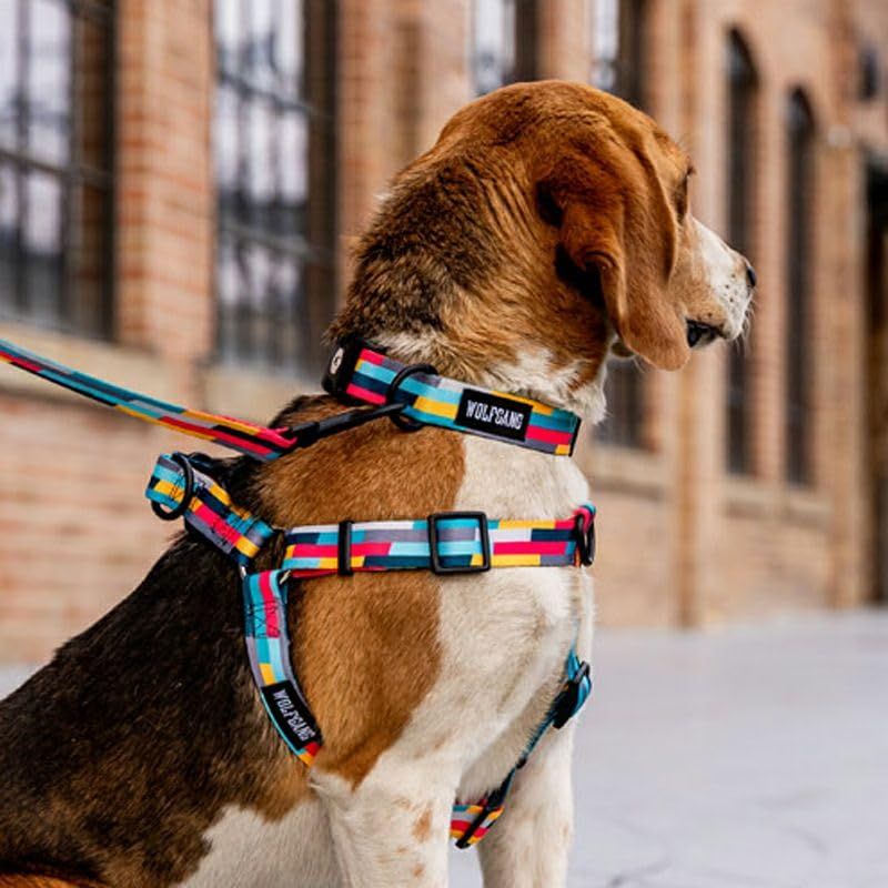 MixTape Harness