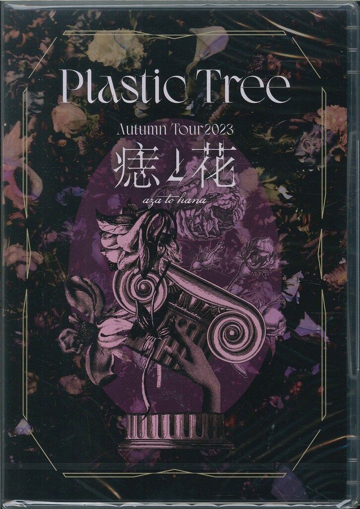PlasticTree 痣と花 DVD Plastic Tree DVD(3DISCS) Plastic Tree Autumn Tour2023 「痣と