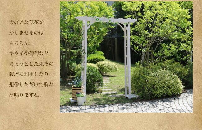 天然木パーゴラアーチ ホワイト