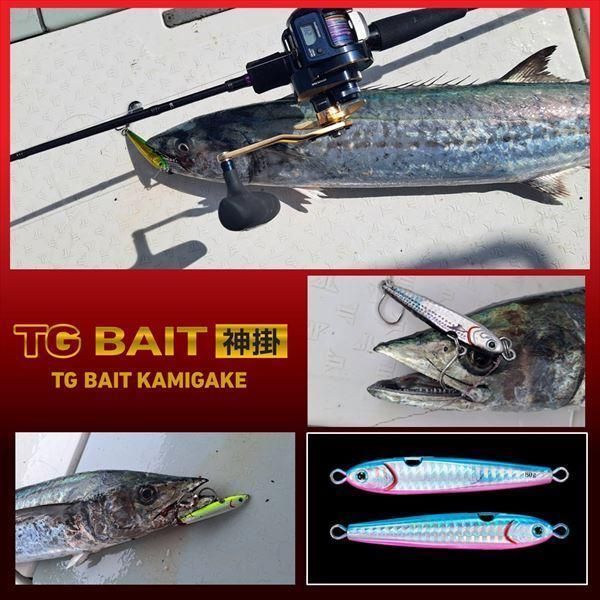 DAIWA ダイワ TGベイト神掛 100g PHゼブラグロー - メルカリ