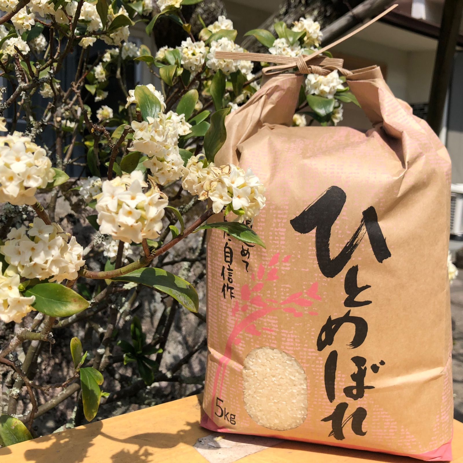 令和7年産 新米 ひとめぼれ 10kg 5kg×2袋 大分県玖珠産