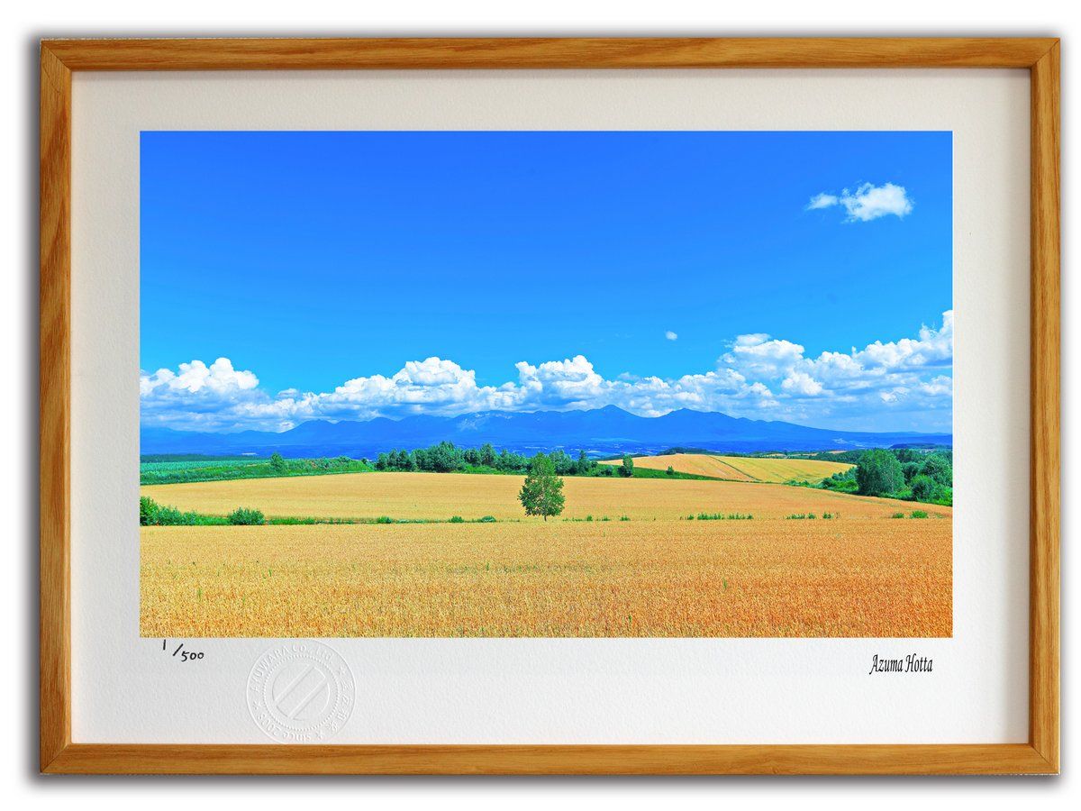 版画 絵画 北海道の田園風景002 美瑛|インテリア 額入り 額装込 風景画 油絵 ポスター アート アートパネル リビング 玄関 プレゼント モダン アートフレーム 飾る Mサイズ おしゃれ 壁掛け 絵