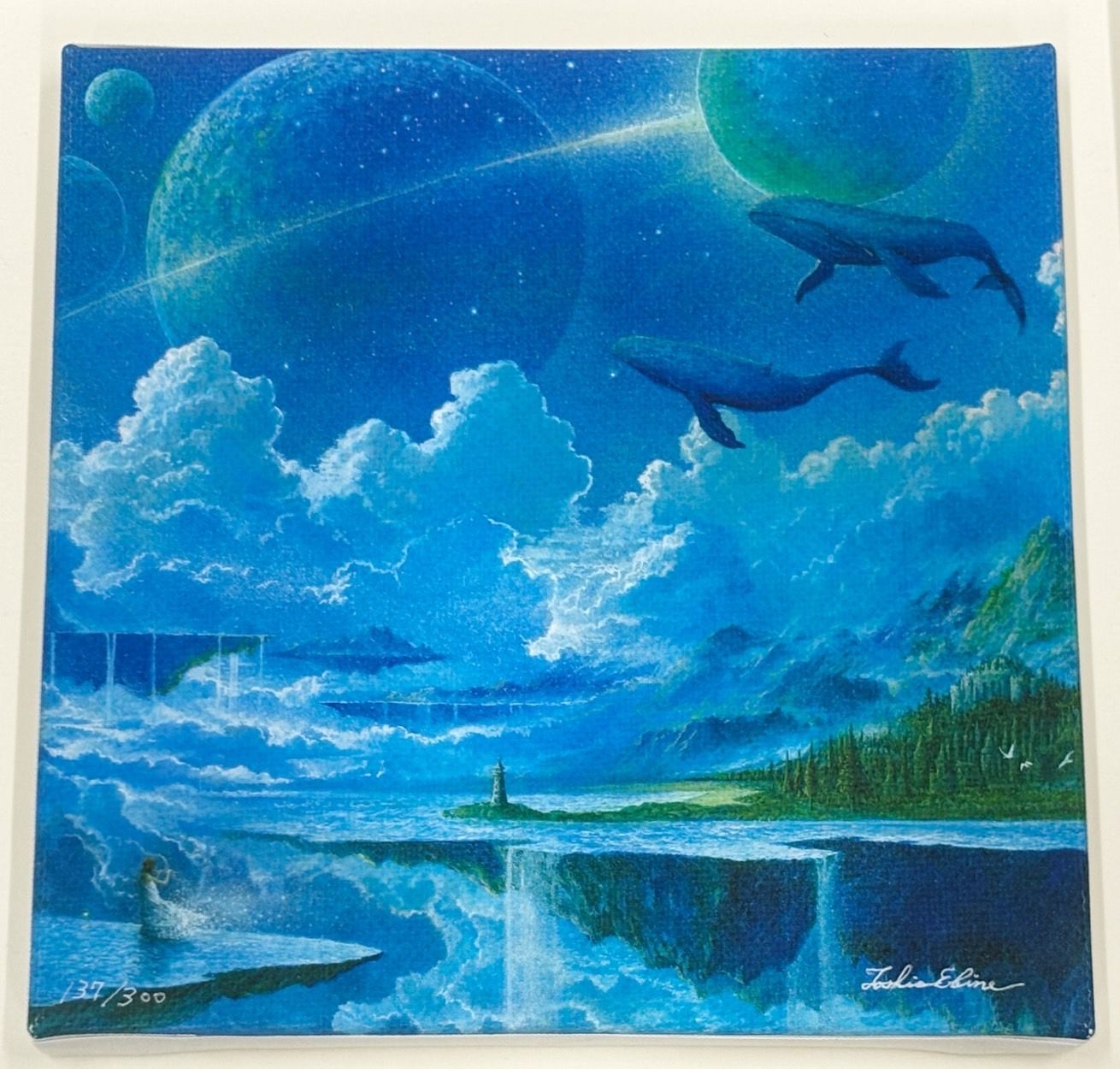 na-00131】海老根俊雄 floating island 137/300 ジクレー
