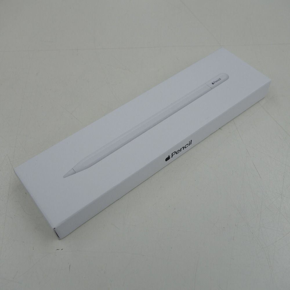 Apple (アップル) タッチペン Apple Pencil（USB-C） 【コンプオフ金沢
