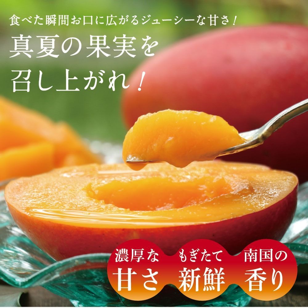 マンゴー