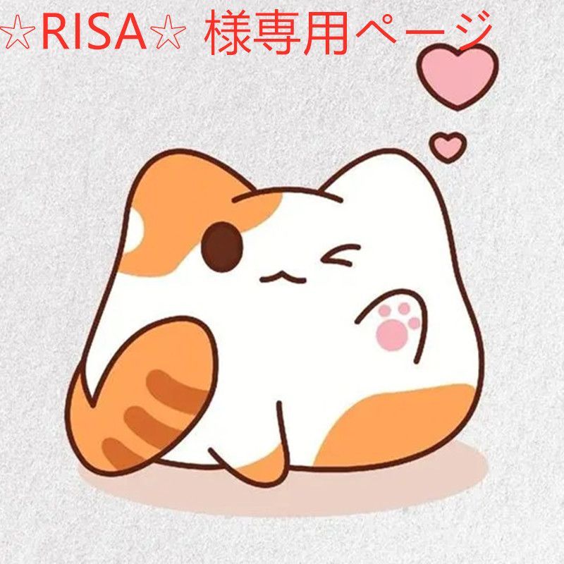 ☆RISA☆ 様専用ページ - メルカリ