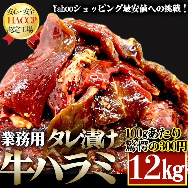 【爆売れ人気商品】牛ハラミ 最安値 業務用 味付け肉 500g×24 合計12kg 厚切り 牛 赤身 訳あり お得 安い メガ盛り バーベキュー