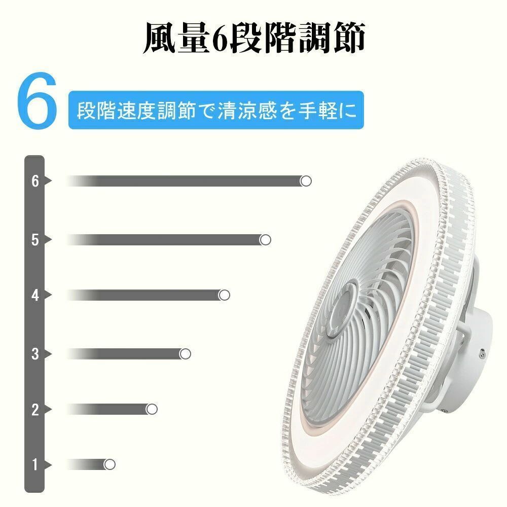 サーキュレーター