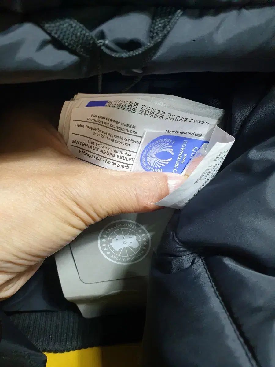 ダウンジャケット