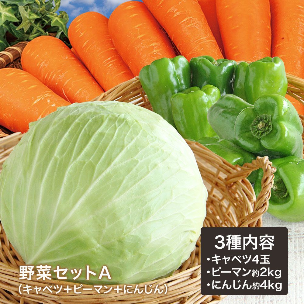 野菜セットA（キャベツ4玉・ピーマン約2kg・にんじん約4kg） 3種セット 野菜セットA（キャベツ4玉・ピーマン約2kg・にんじん約4kg） 3種セット