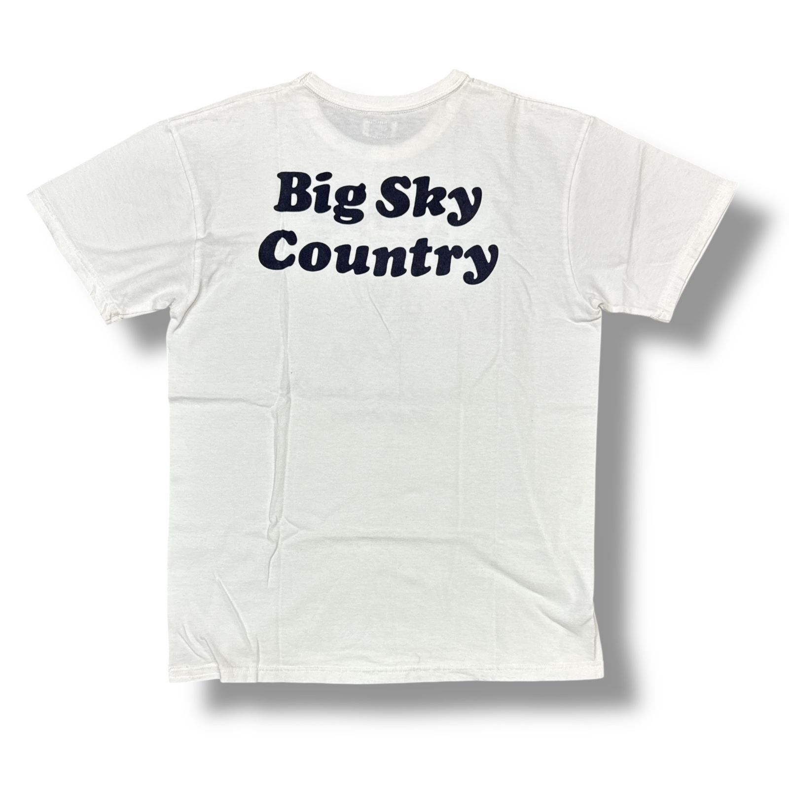 【関税込み】メデューサ ヘッドプリント グレー Tシャツ C．グレー 半袖プリントTシャツ（アメカジカリフォルニア