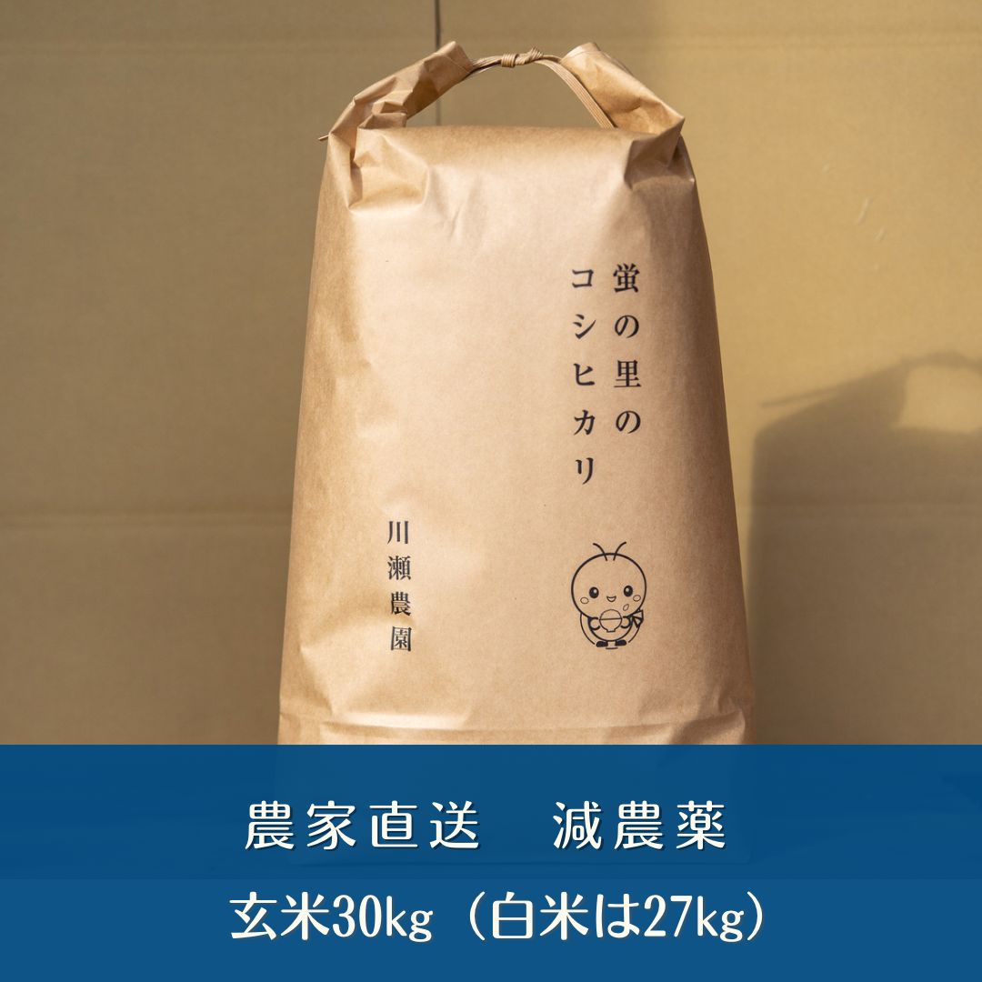 新米 【蛍の里のきぬむすめ】白米 30㎏ 令和５年産 一等米 送料無料 - メルカリ