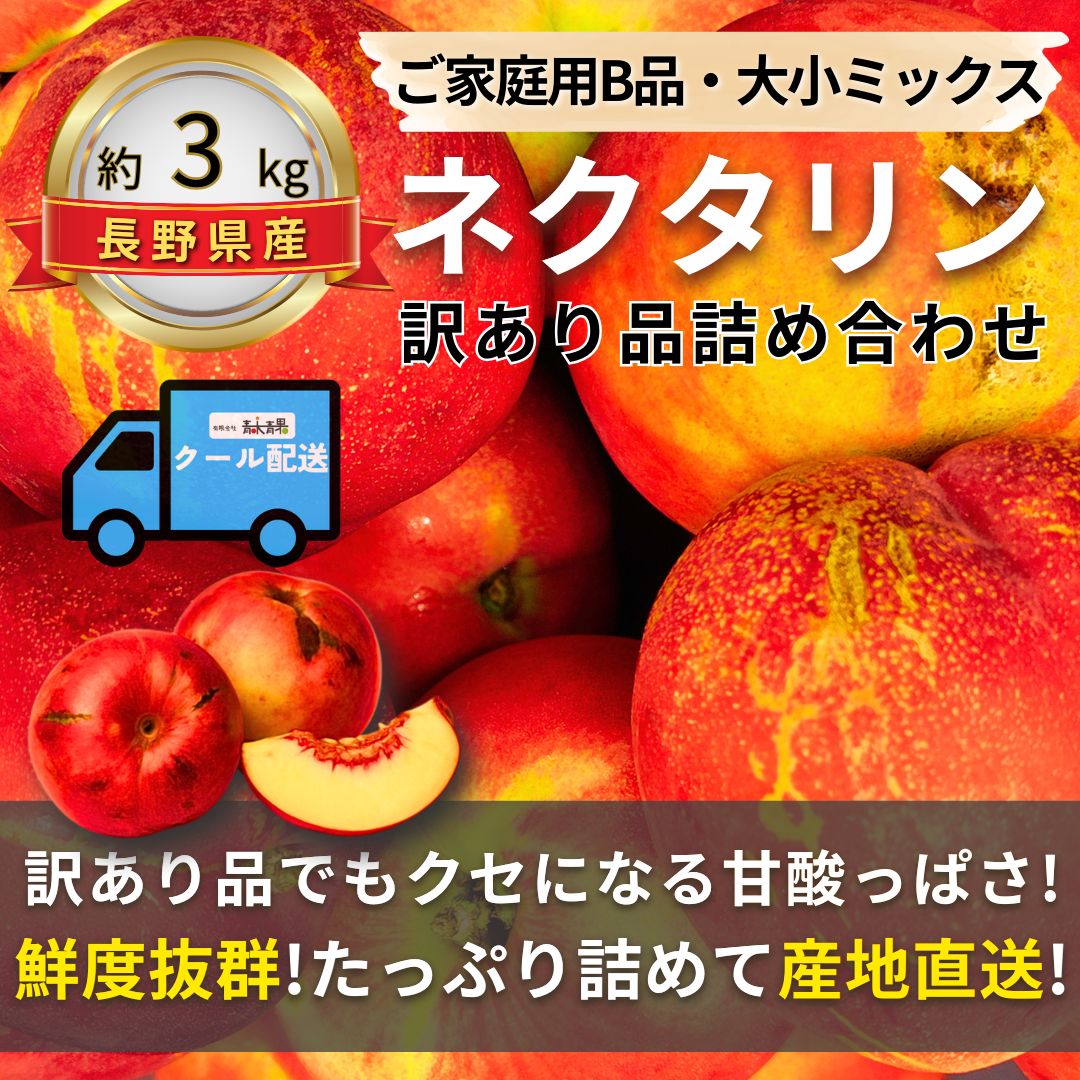 ネクタリン〜訳あり品詰め合わせ〜【内容量】約3kg【配送方法