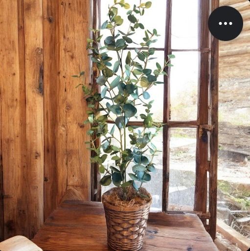 光触媒 人工観葉植物 ウォールグリーン フェイクグリーン カポック111