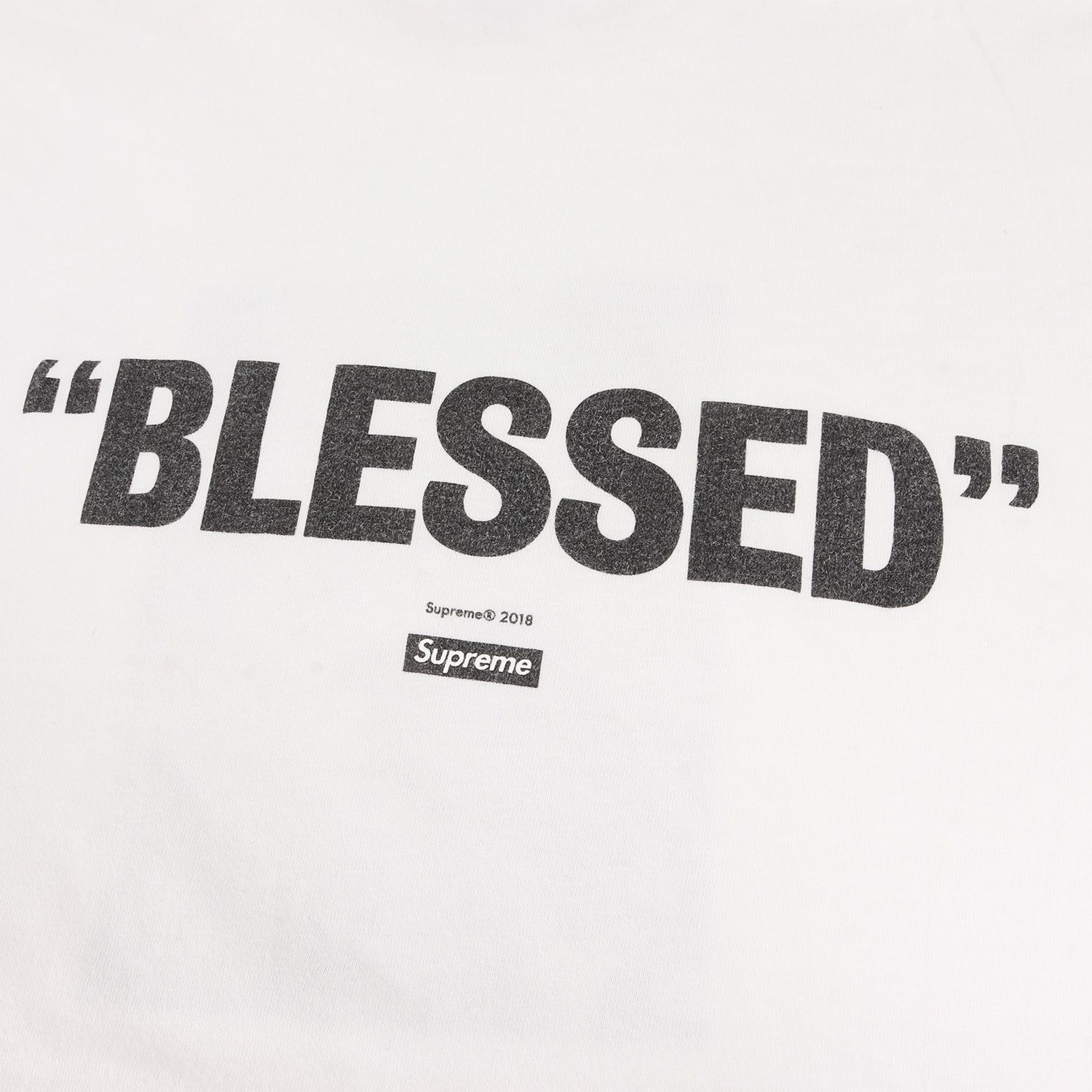 Supreme シュプリーム Tシャツ サイズ:M 18AW ショーン・パブロ フォト 