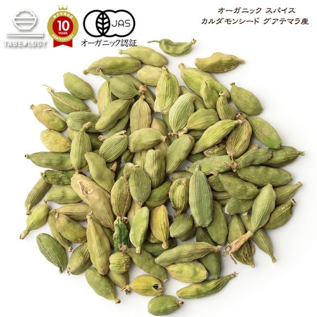 元気が出るテレビ 北野印度会社 ビートたけし 陶器製 調味料瓶 カレー