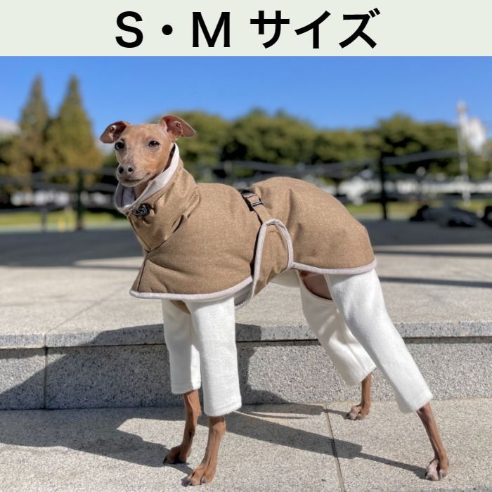 イタグレ服 S・M 中綿軽量バックルコートdoggystarイタリアングレー 