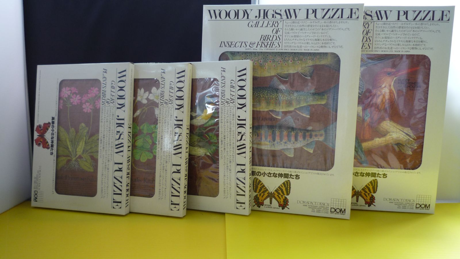 DOM SPACE DESIGN ＊