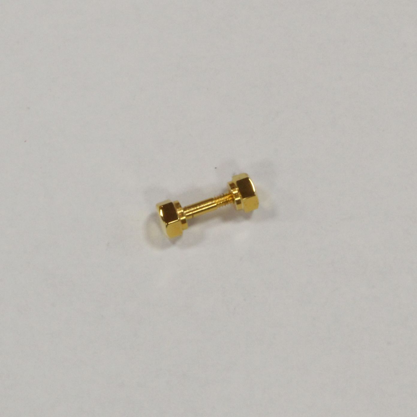 Buzz トランペットウォーターキースクリュー Schilke用GP2 buzz トランペットウォーターキースクリュー Schilke用 GP 【公式