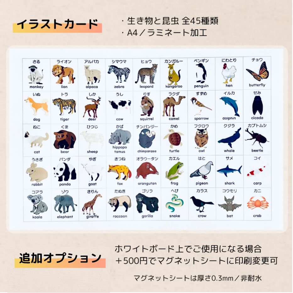 過去問とっくんセレクトシリーズ小学校受験で出題された社会的常識