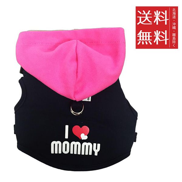 おまけつき！レザレクション カートバッグ ダークブラック 黒系 ロビン