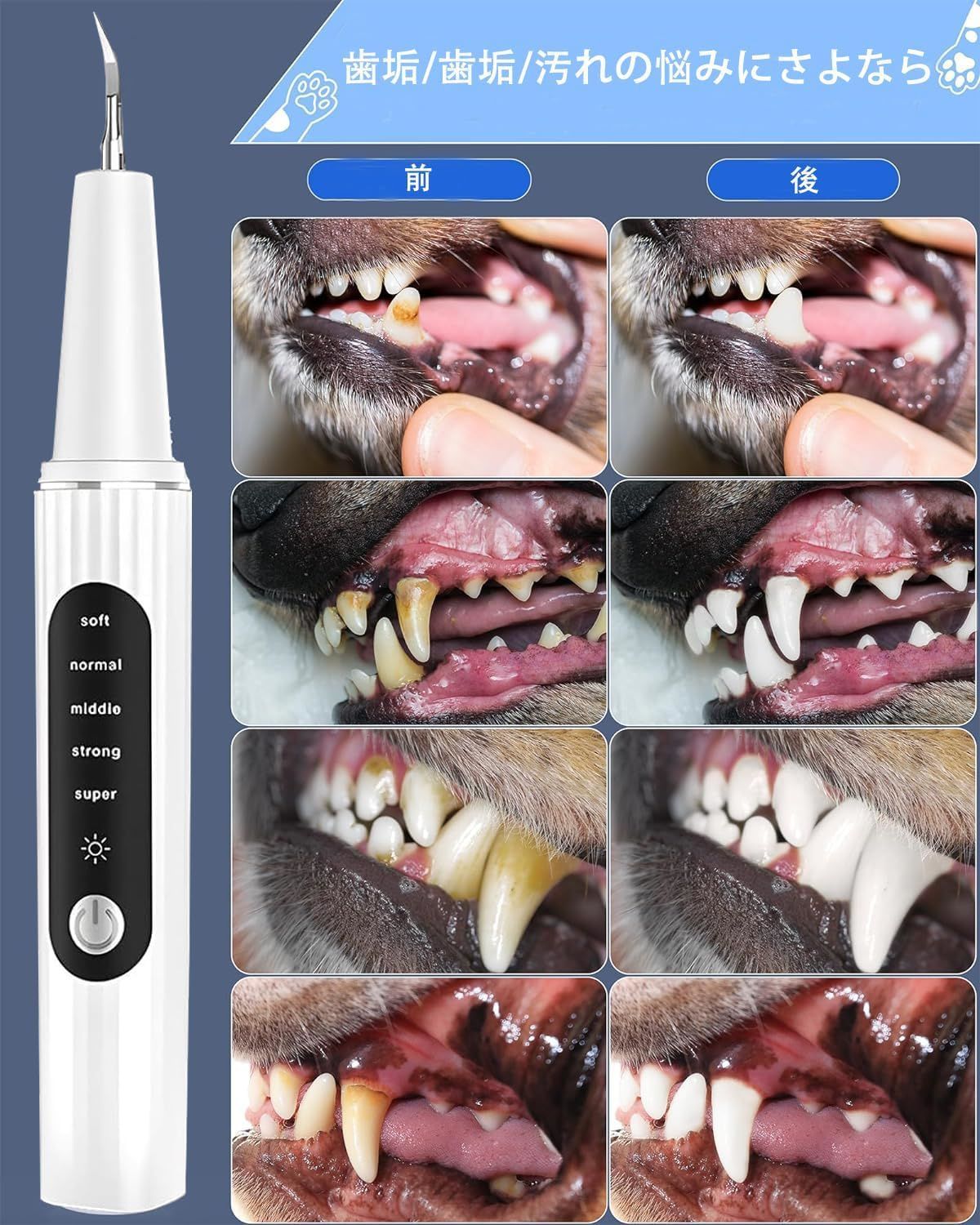 ペット 歯石取り 安い 液体 強力