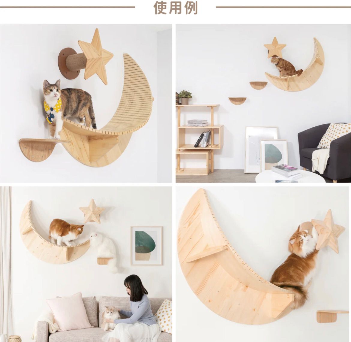 猫 キャットウォーク