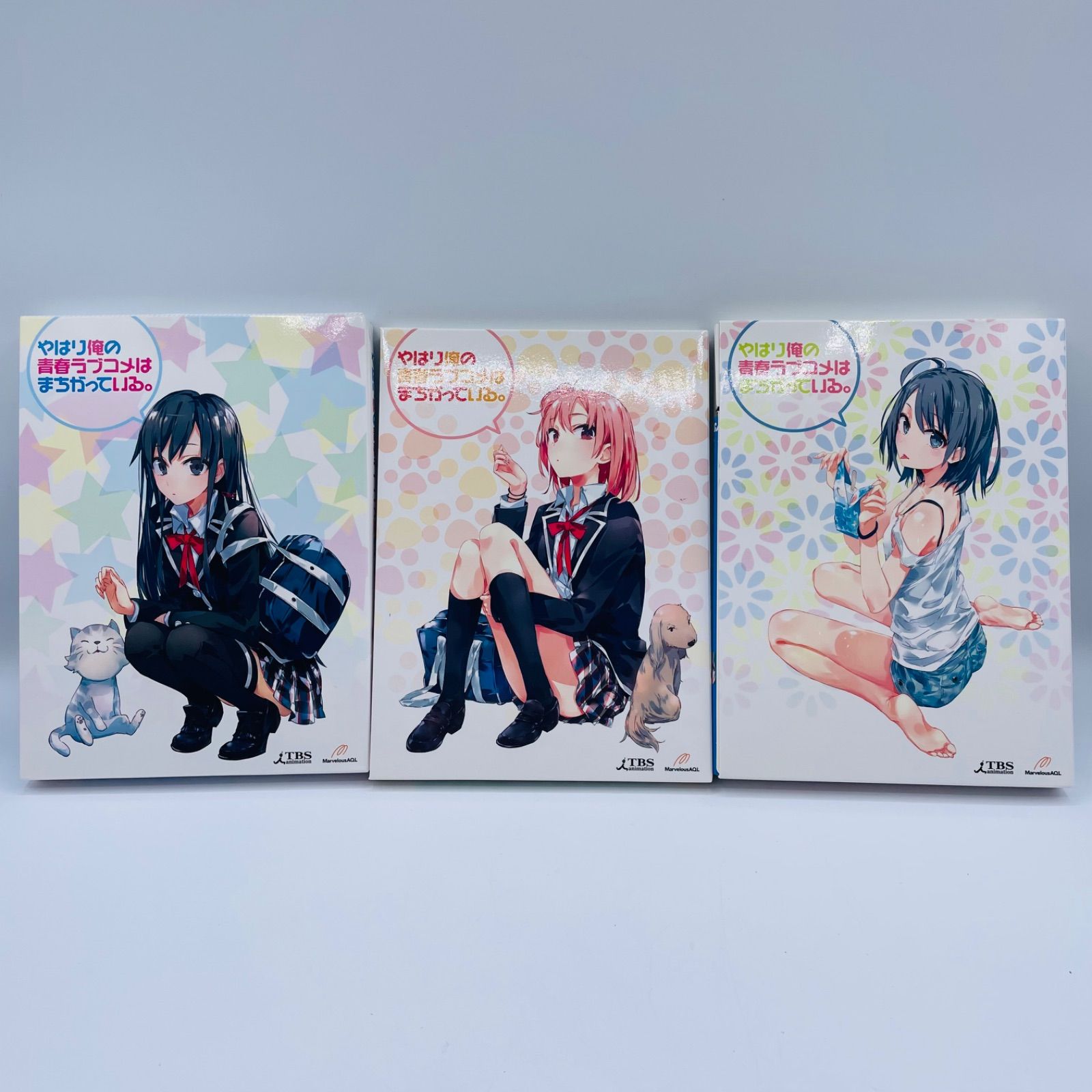 やはり俺の青春ラブコメはまちがっている 新 Blu-ray 特典 小説のみ