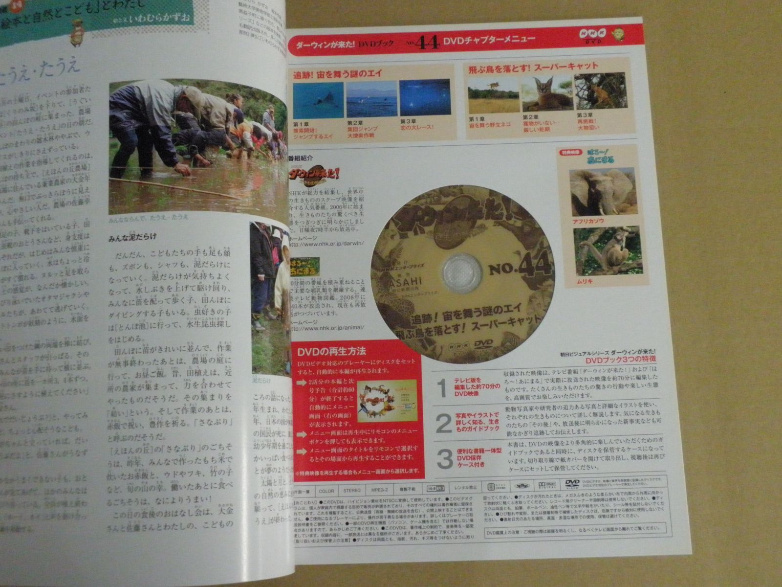 DVD未開封】ダーウィンが来た!生きもの新伝説 NO.44 - メルカリ