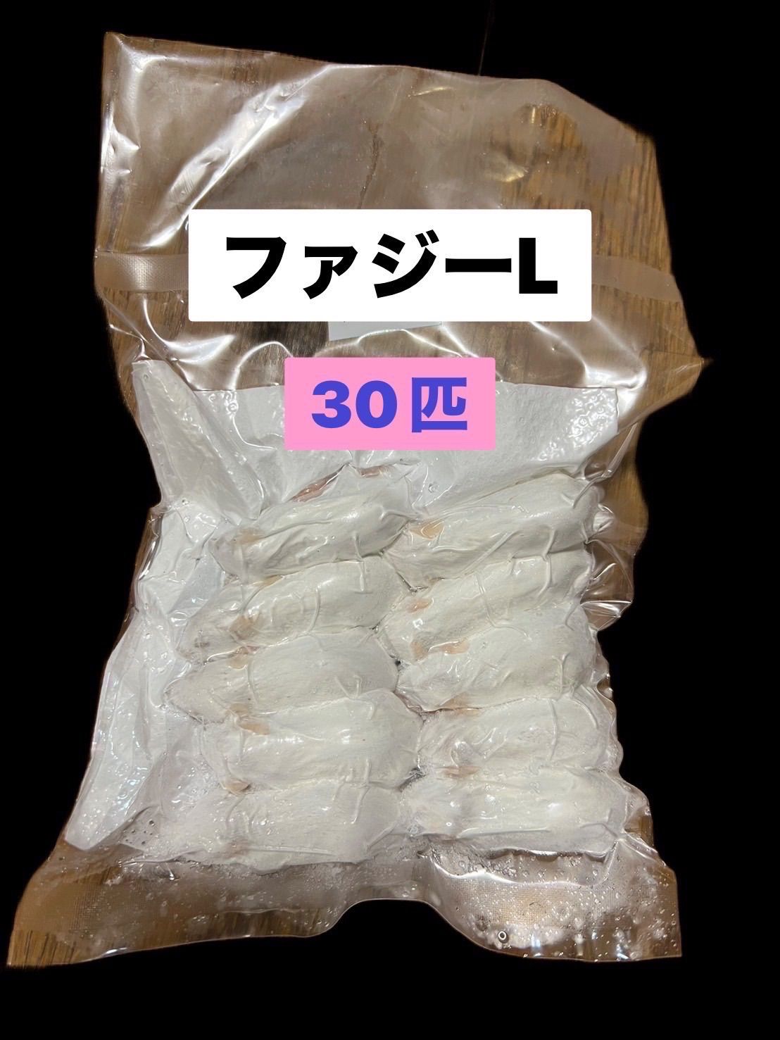 国産冷凍ファジーマウスL　30匹　送料込　即日発送　同梱可