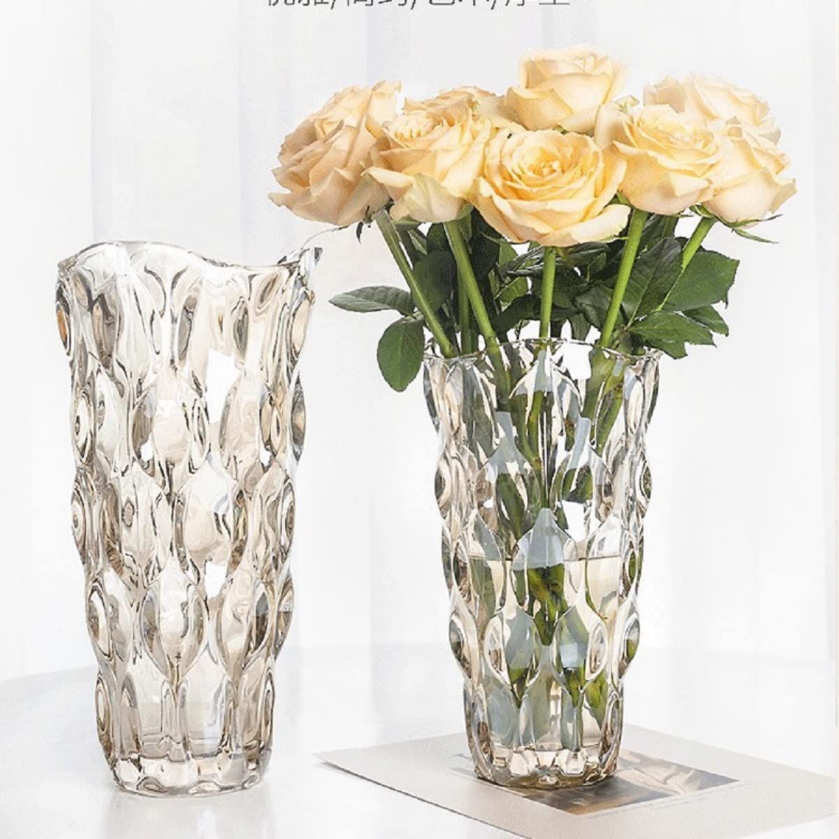 新品 ガラス フラワーベース 透明 花瓶 ガラス おしゃれ 大 花瓶 北欧 花瓶 30cm グラデーション 現代 シンプル 透明 広口 花器 部屋 玄関  リビング インテリア プレゼント (シャンペン色-24cm) - メルカリ
