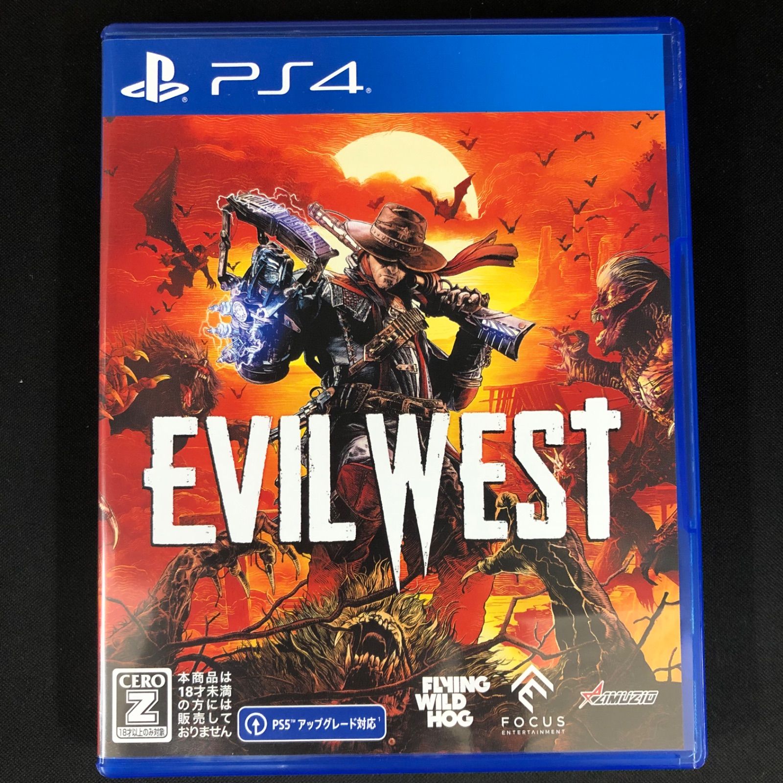 ps4 ゲーム５本セット Amazon.co.jp: ロックマン ゼロ&ゼクス ダブルヒーロー