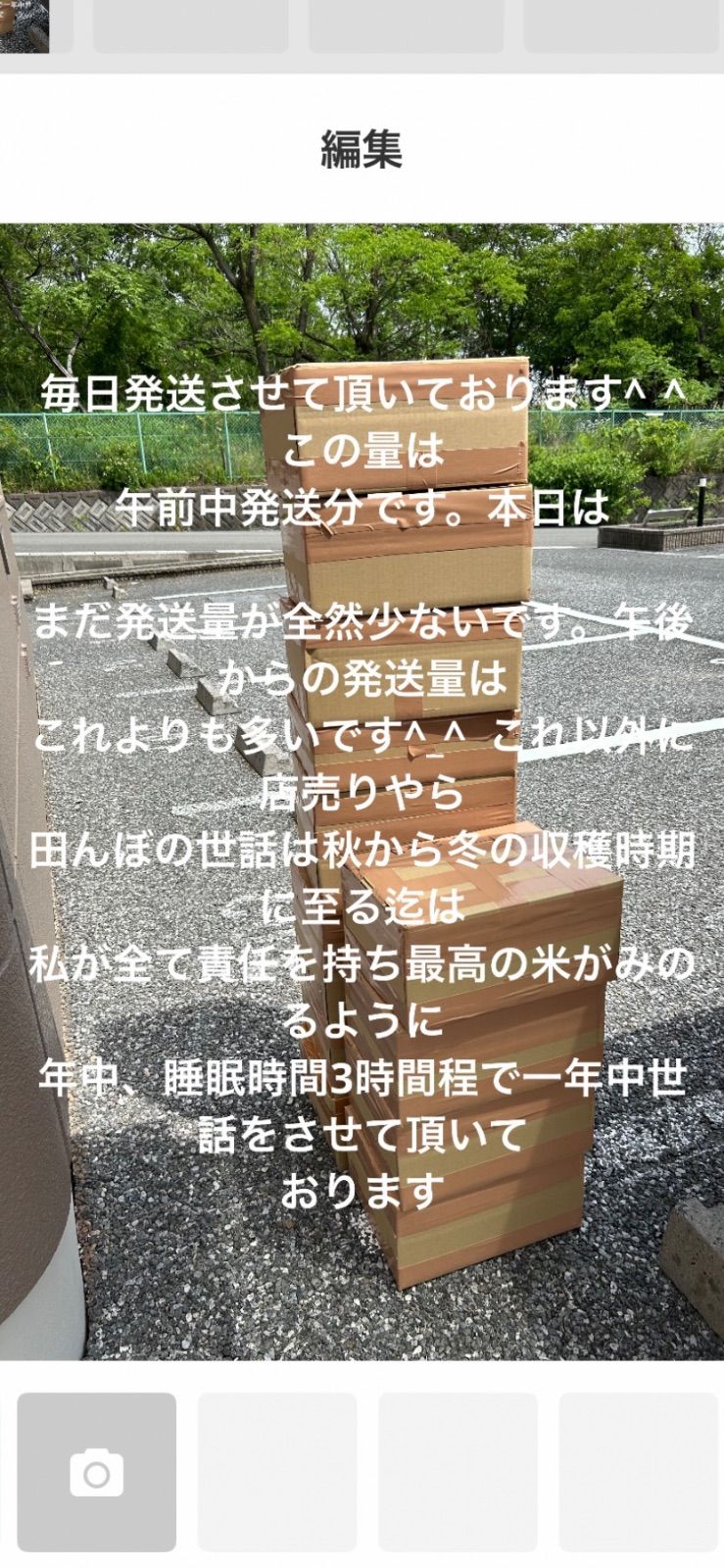 豆*豆様 岐阜県揖斐郡固有種ハツシモ令和6年11月21日収穫