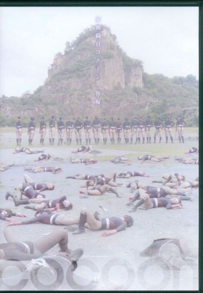 明治15年発行 勝野平兵衛 木版「駿河国静岡浅間社並公園之図」古地図