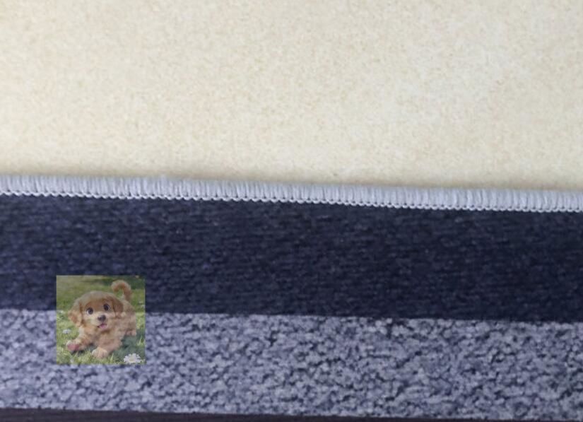 上品 ペルシャ絨毯 で快適である 長方形絨毯 家庭用カーペット 滑り止め付 200*300cm