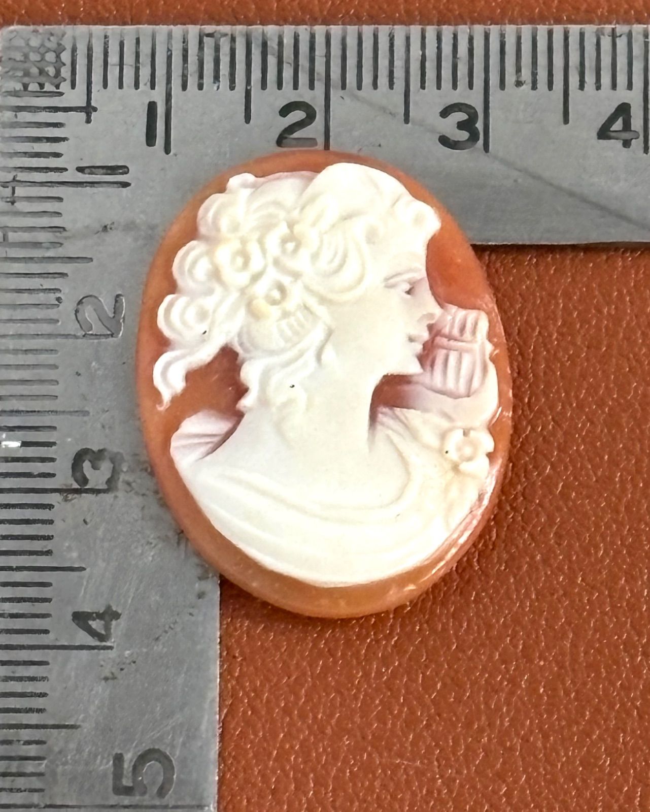 シェルカメオ ルース MARBLE KOGEI マーブル 期間限定値下げ】シェル